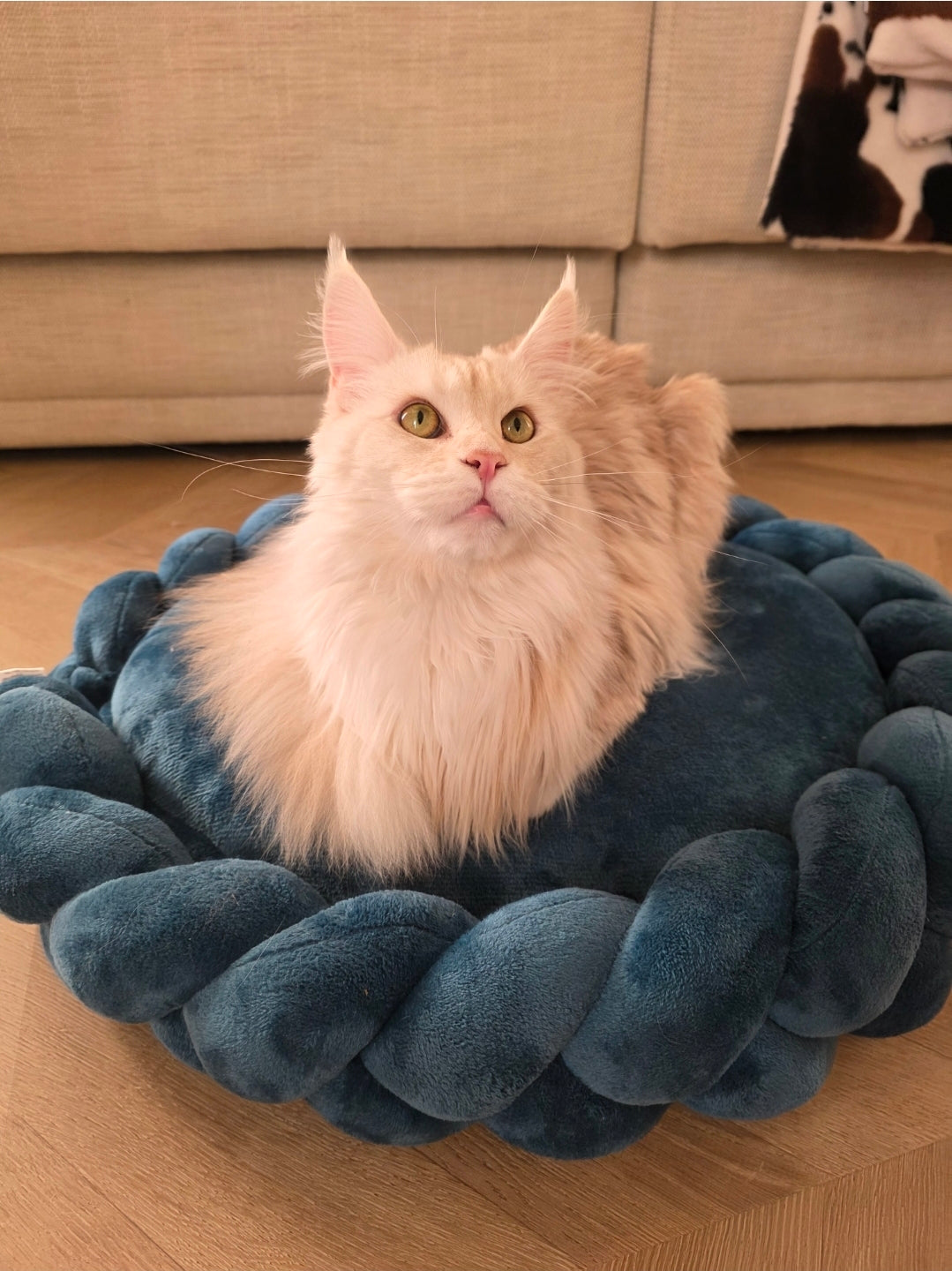 Couffin/panier pour chat et chien - Sur mesure