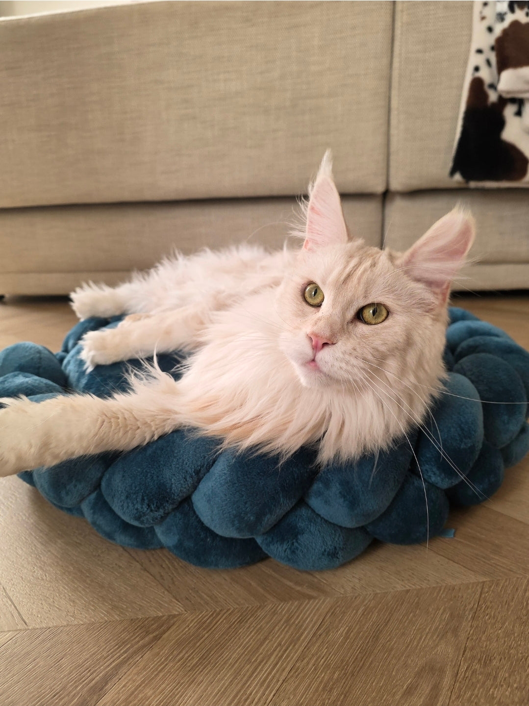 Couffin/panier pour chat et chien - Sur mesure