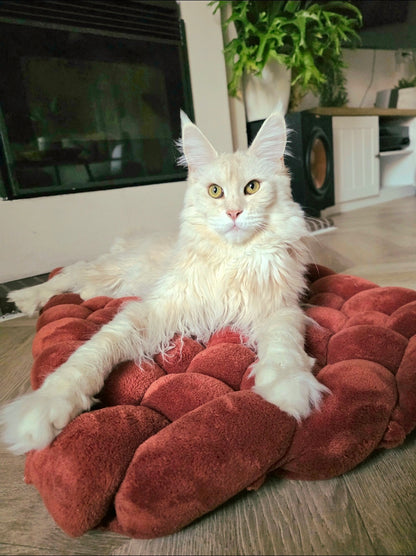 Tapis tressé pour animaux - Sur mesure